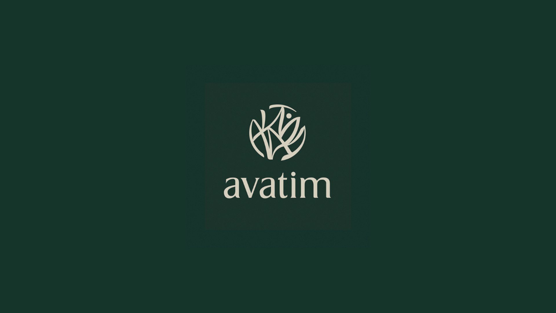 Animação de Logotipo - Avatim