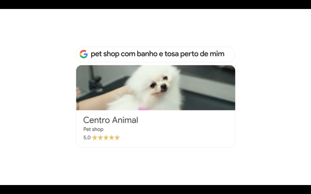 Google Services - Petshop